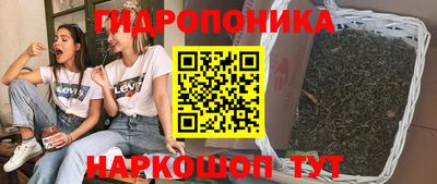 мет Можга
