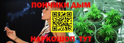 мет Можга