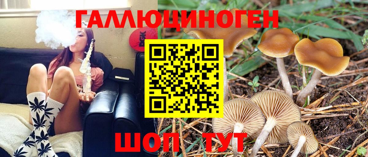 Галлюциногенные грибы Cubensis Владивосток