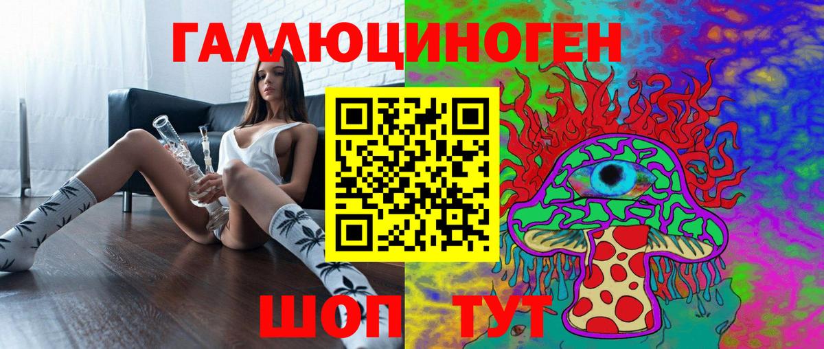 купить закладку  Вход с VPN  Владивосток  Галлюциногенные грибы GOLDEN TEACHER  Псилоцибиновые грибы GOLDEN TEACHER 